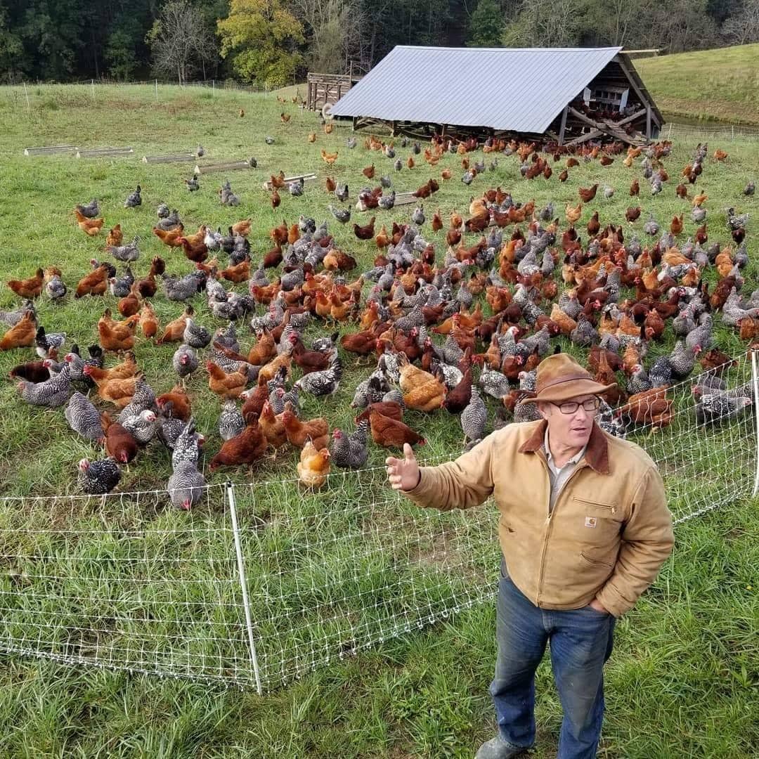 A Nagymama Házi Boltja