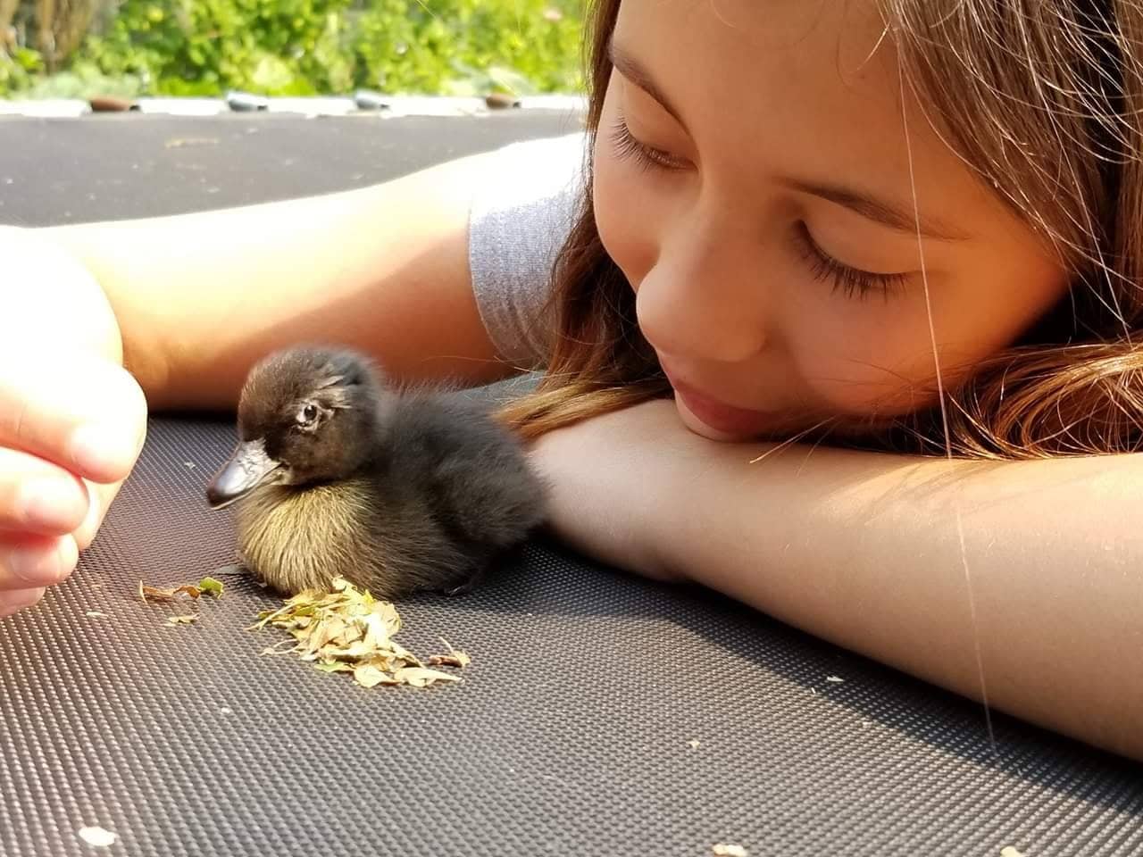 A Nagymama Házi Boltja
